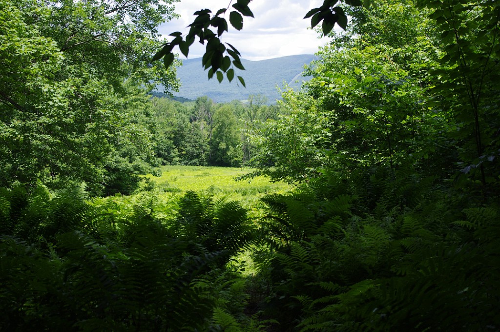 summer2011-FloridaMA-IMGP1828