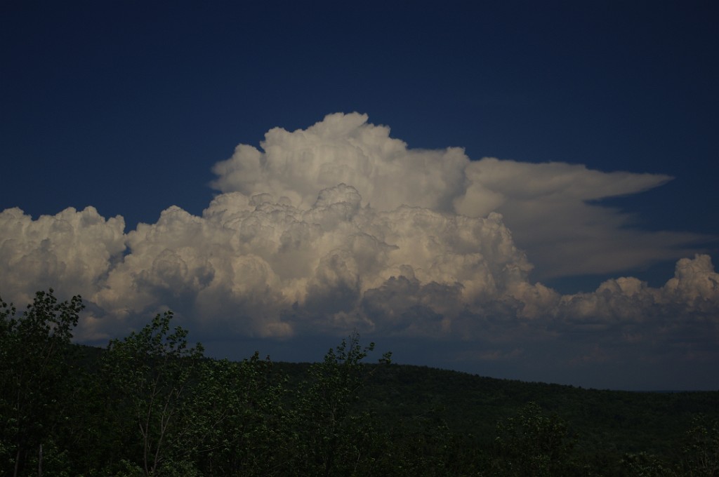 summer2011-FloridaMA-IMGP1859