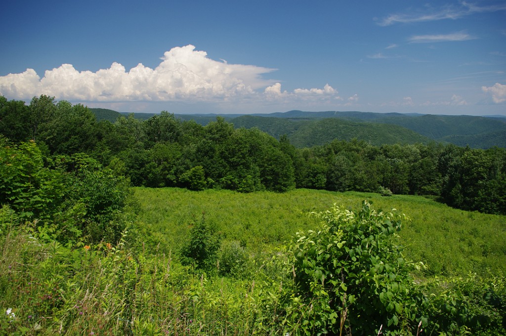 summer2011-FloridaMA-IMGP1877