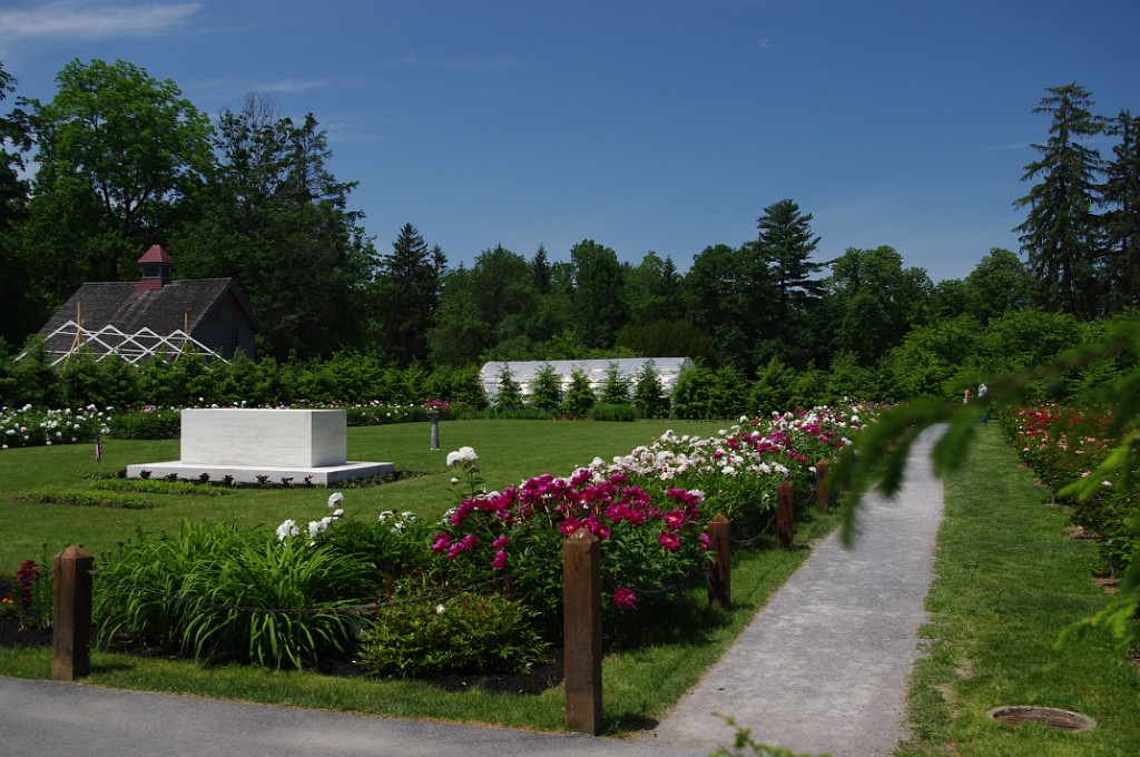 summer2011_Niskayuna_1680