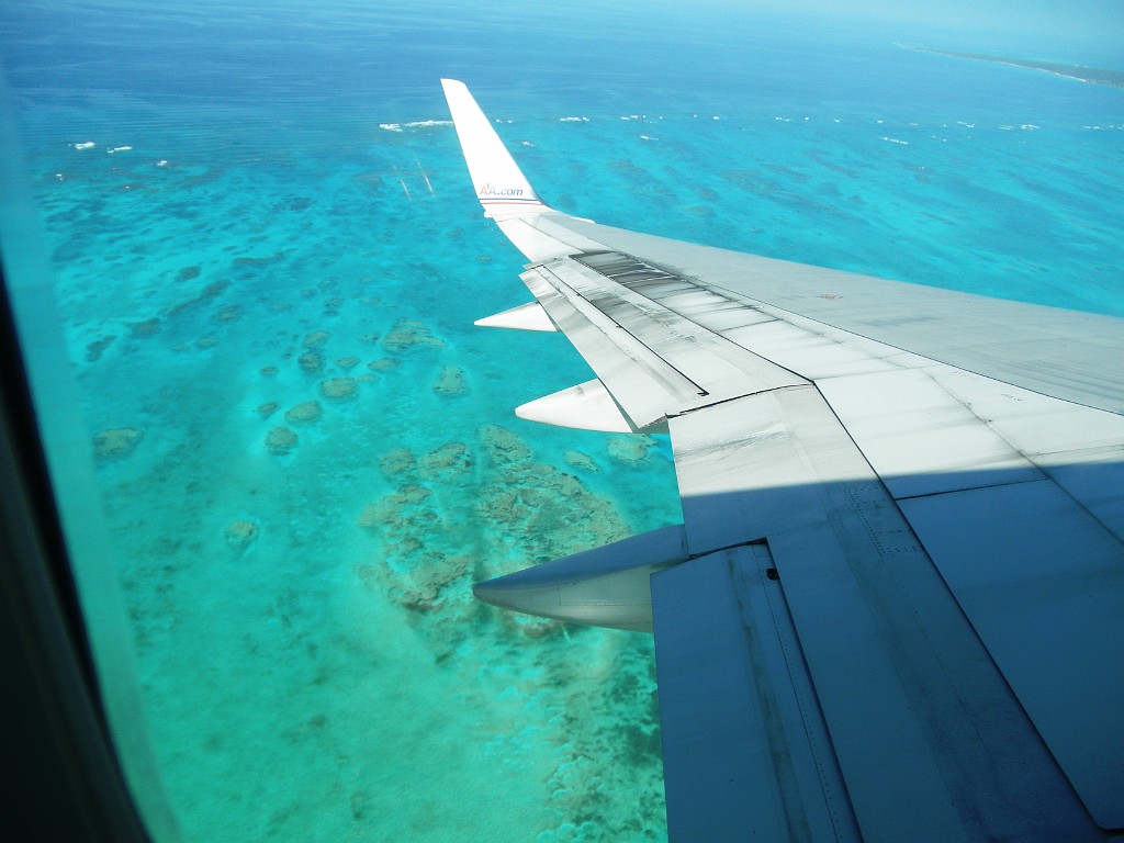 turkoise2011-1081145