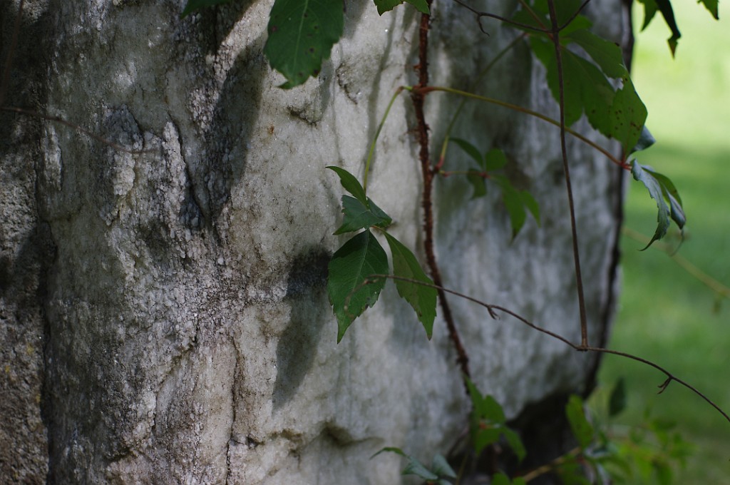 fall2012-EdithWharton-IMGP2787