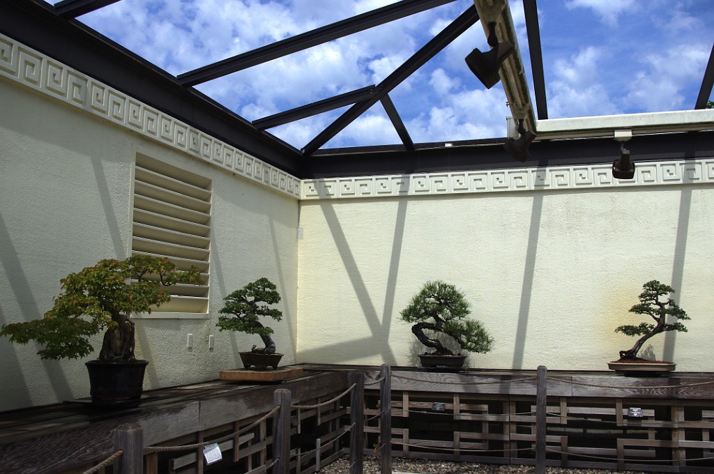 spring2012-DC-Bonsai-2190