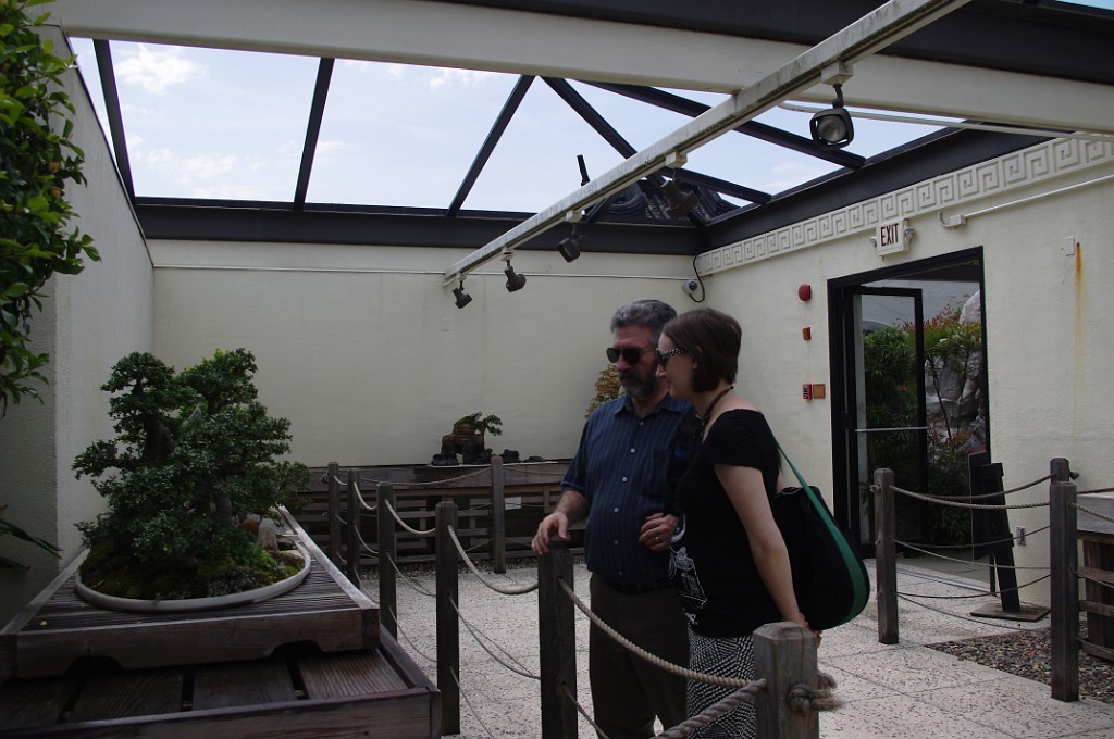 spring2012-DC-Bonsai-2191