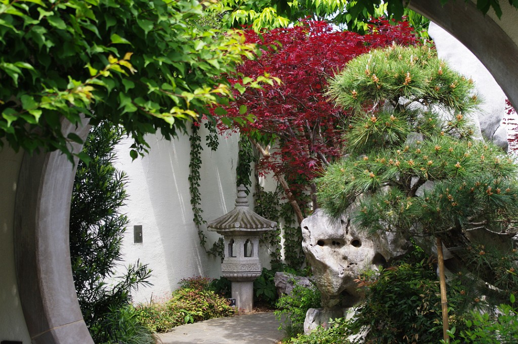 spring2012-DC-Bonsai-2213