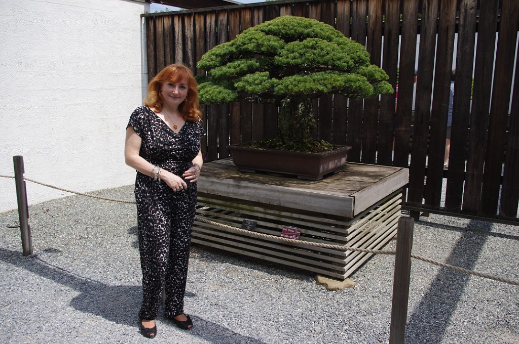 spring2012-DC-Bonsai-2270