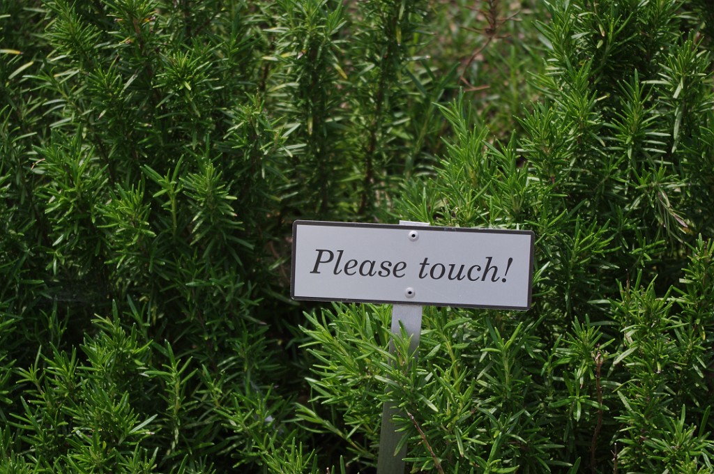 spring2012-DC-Bonsai-2323