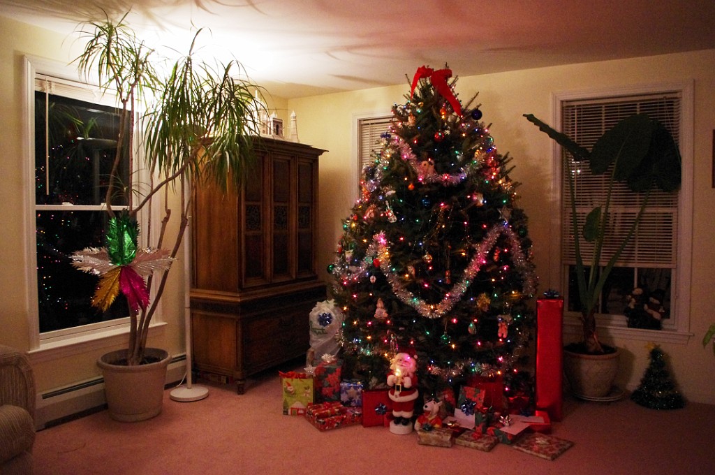 winter2012-NewYears-1994