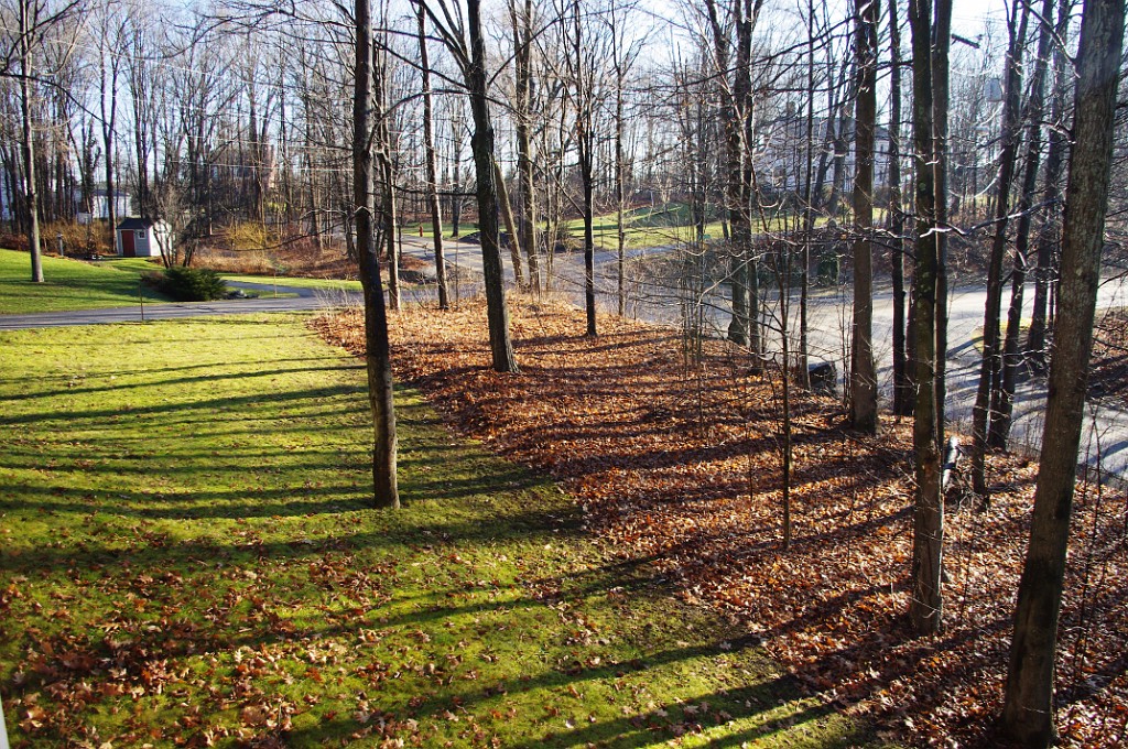 winter2012-NewYears-2040