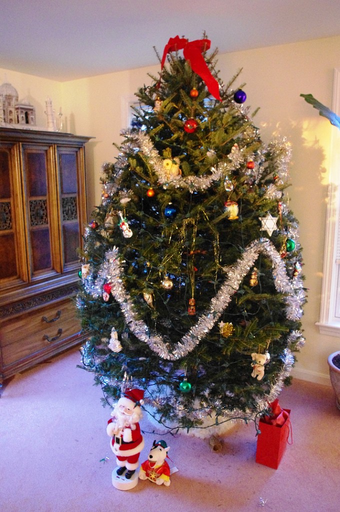 winter2012-NewYears-2053