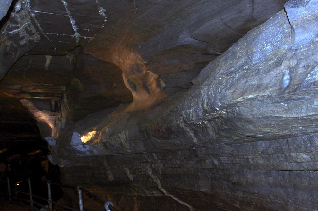 fall2013-Niskayuna-IMGP4888