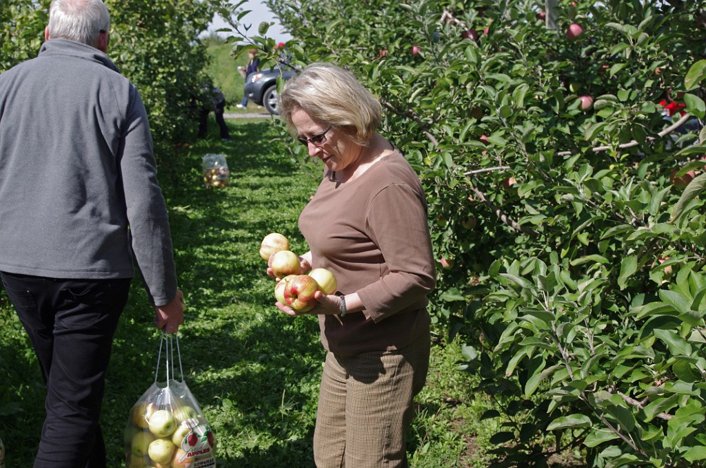 fall2013-Niskayuna-IMGP5014