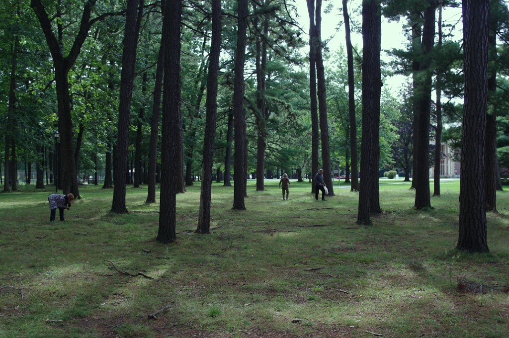 fall2013-Niskayuna-IMGP5035