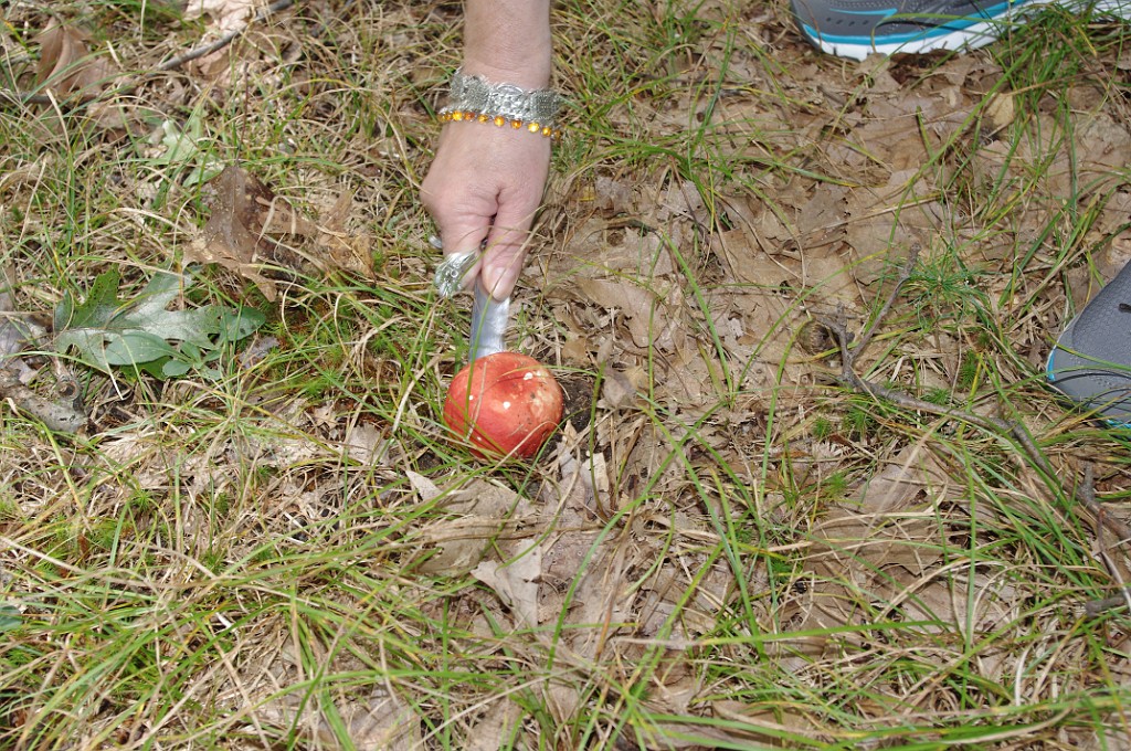 fall2013-Niskayuna-IMGP5044