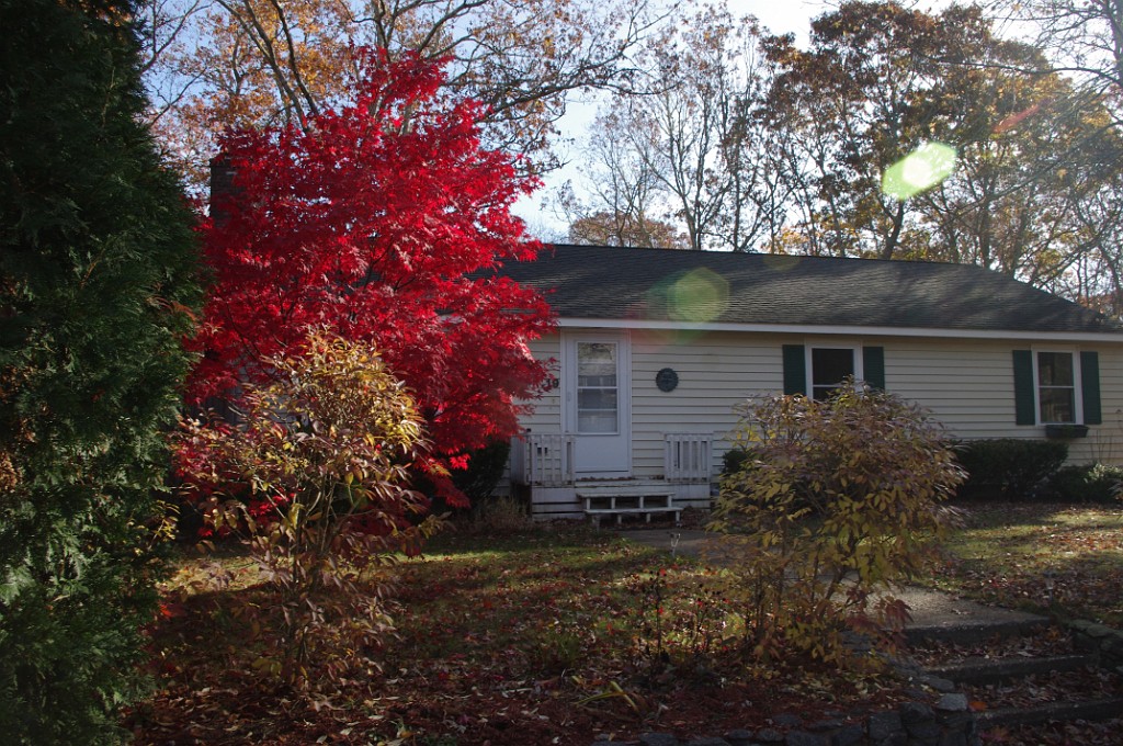 fall2013-Mashpee-IMGP5073
