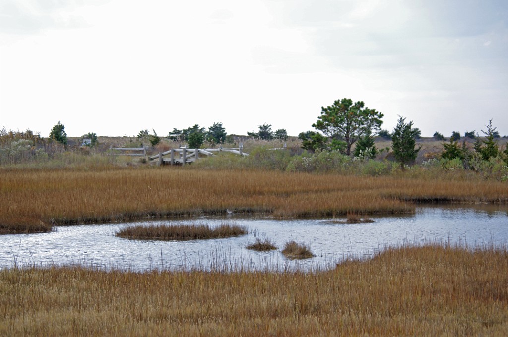 fall2013-Mashpee-IMGP5248