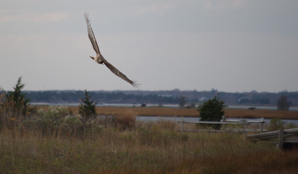 fall2013-Mashpee-IMGP5296