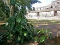 fall2013-PlayaDelCarmen-PB110070 