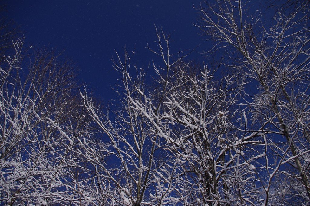 spring2013-snow-IMGP3384