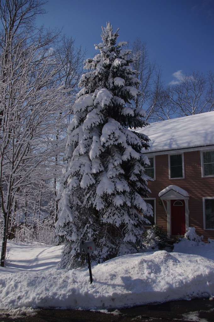spring2013-snow-IMGP3390