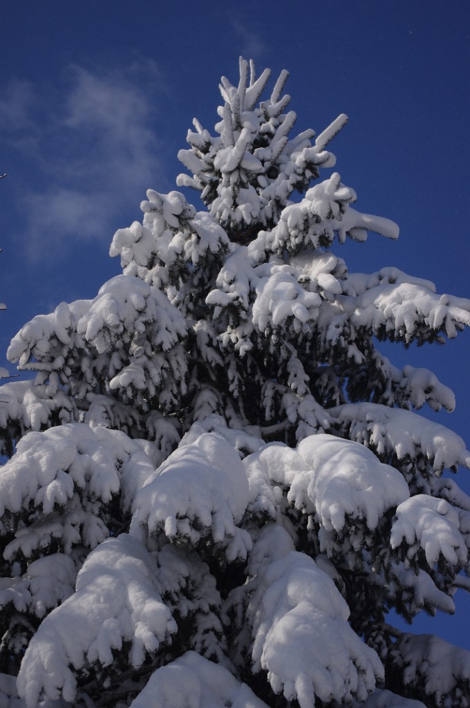 spring2013-snow-IMGP3408