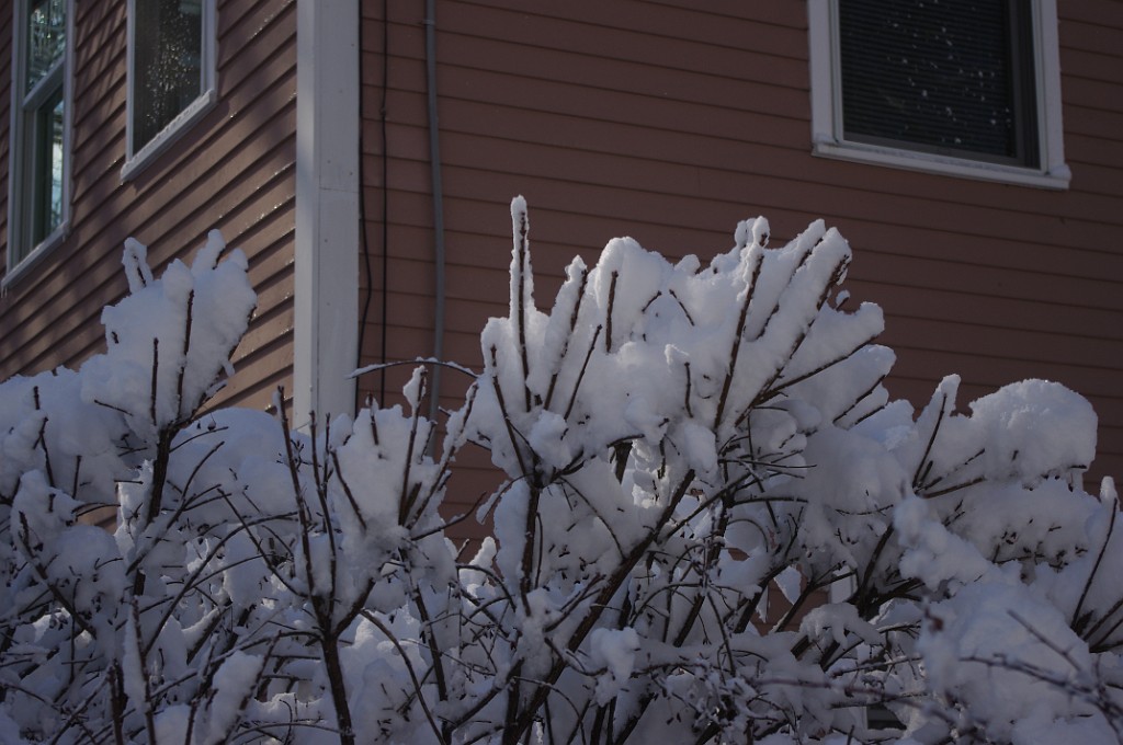 spring2013-snow-IMGP3412