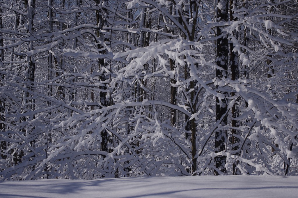 spring2013-snow-IMGP3416