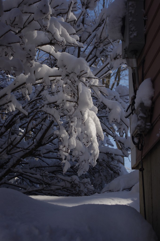 spring2013-snow-IMGP3420
