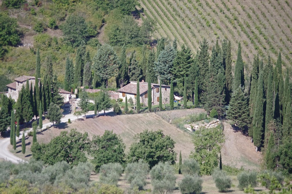 toscana2013-Chianti-Florence-IMGP4719