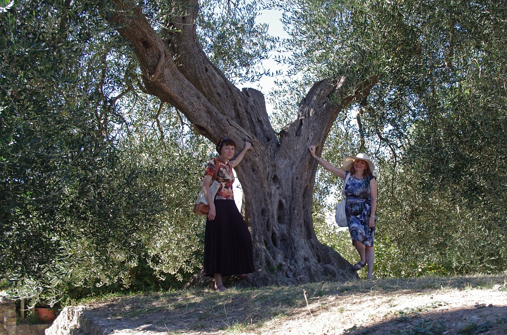 toscana2013-Montalcino-BagnoVignoni-Pienza-IMGP4452
