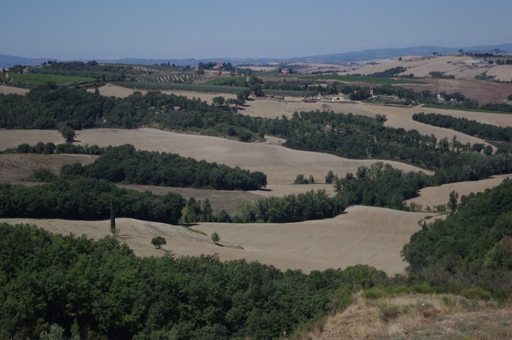 toscana2013-Siena-MonteOlevetoMaggiore-Montalcino-IMGP4371