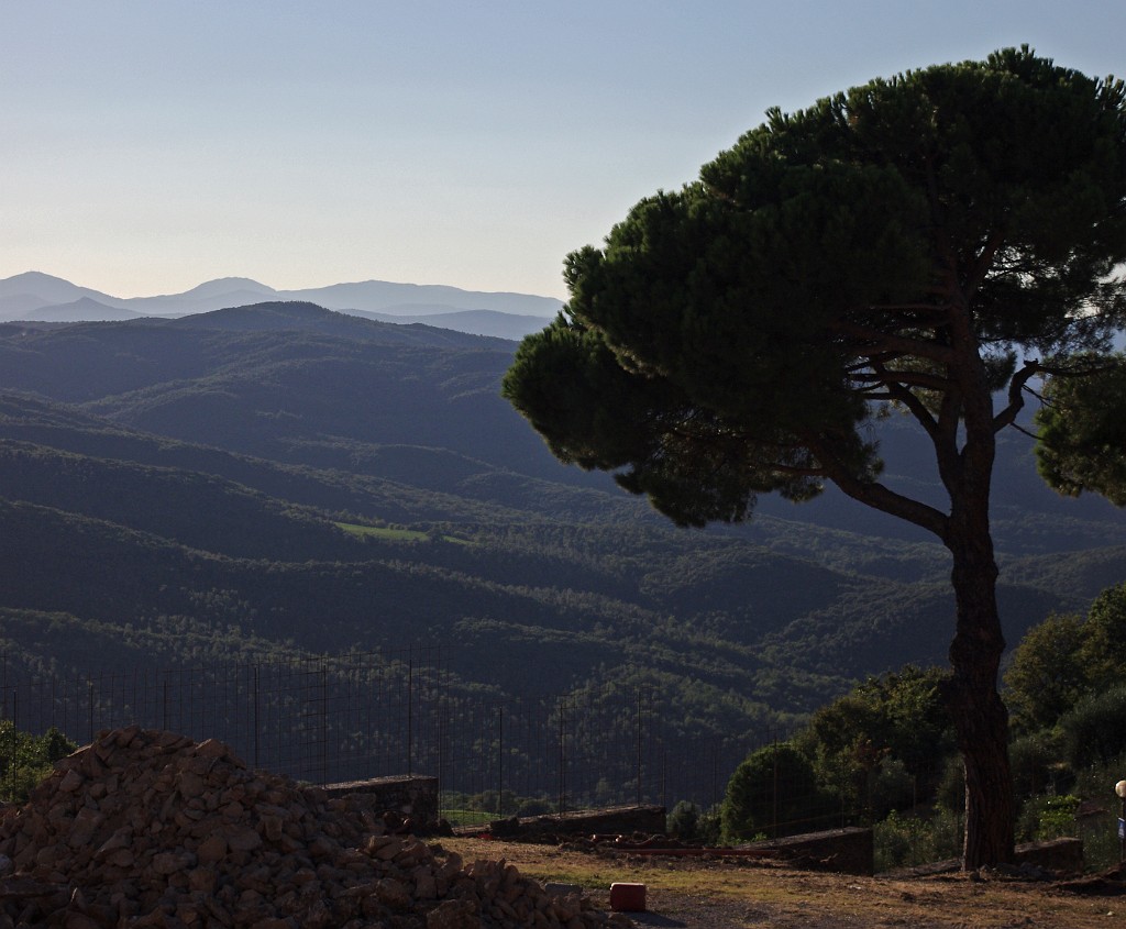toscana2013-Siena-MonteOlevetoMaggiore-Montalcino-IMGP4399