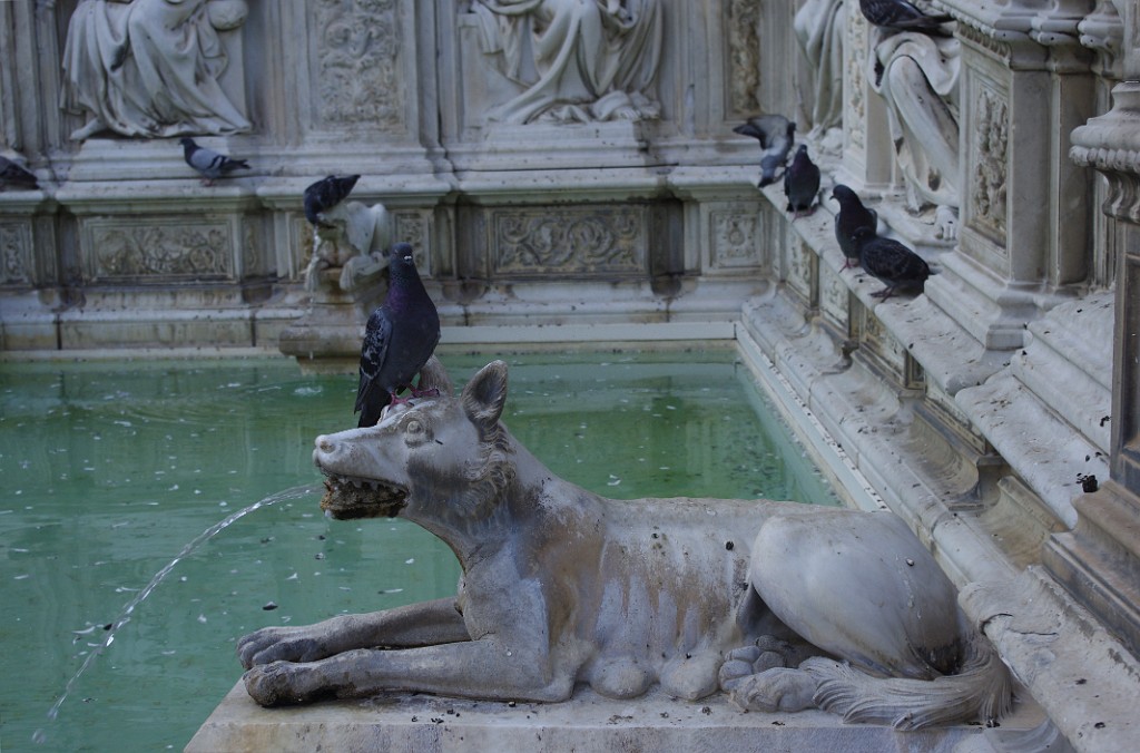 toscana2013-Volterra-Siena-IMGP4089