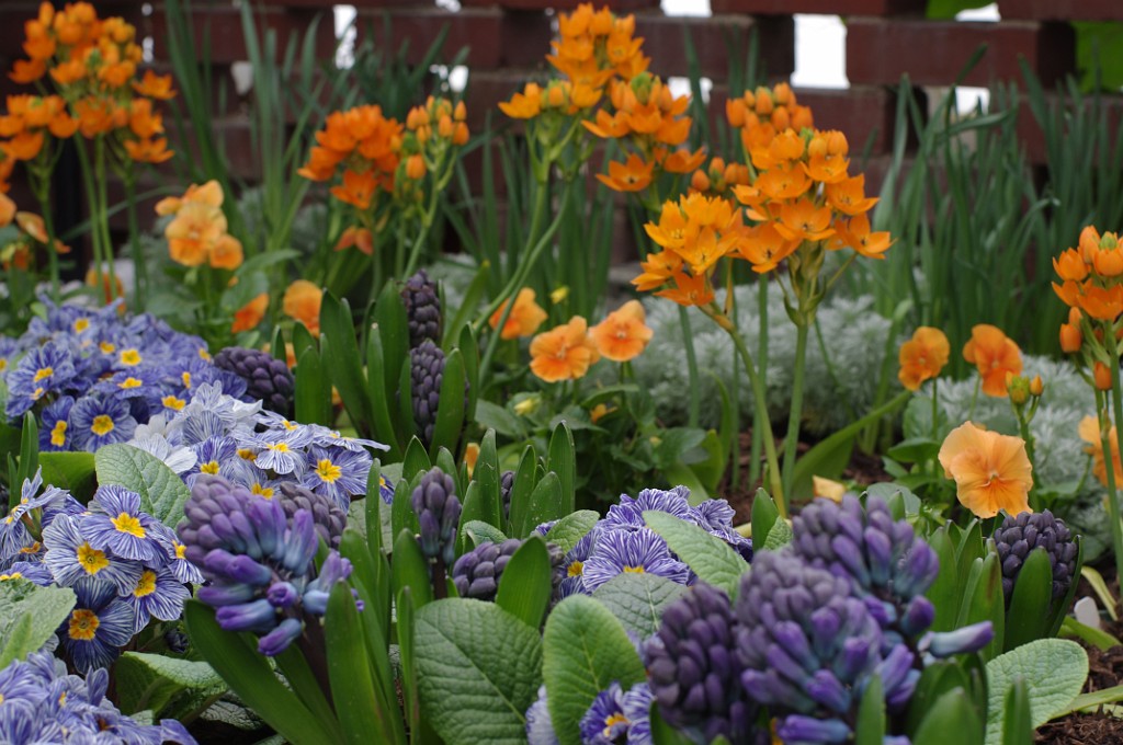 spring2014-Pittsburgh-Phipps-IMGP5767