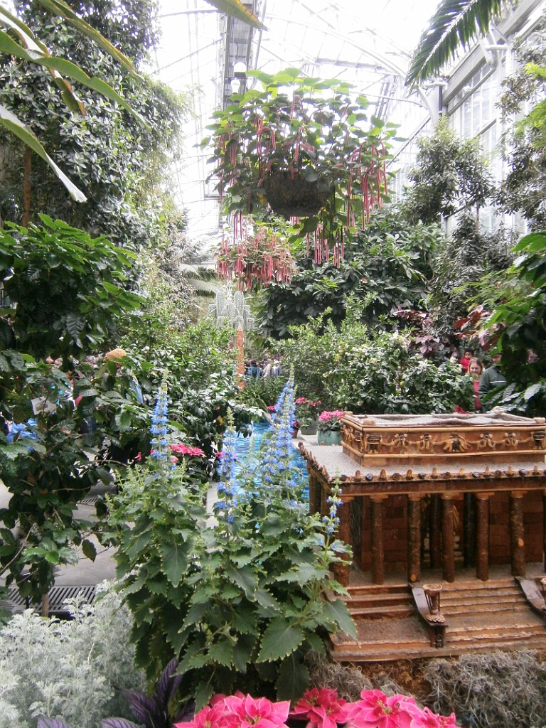 fall2014-ThanksgivingDC-PB280601