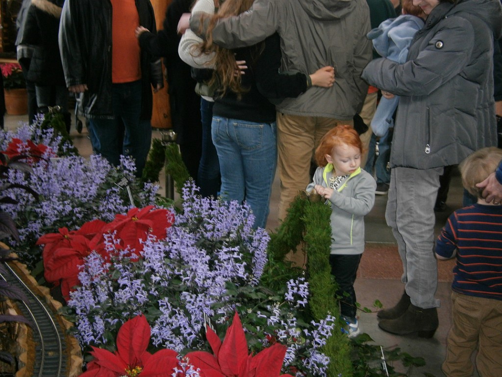 fall2014-ThanksgivingDC-PB280606