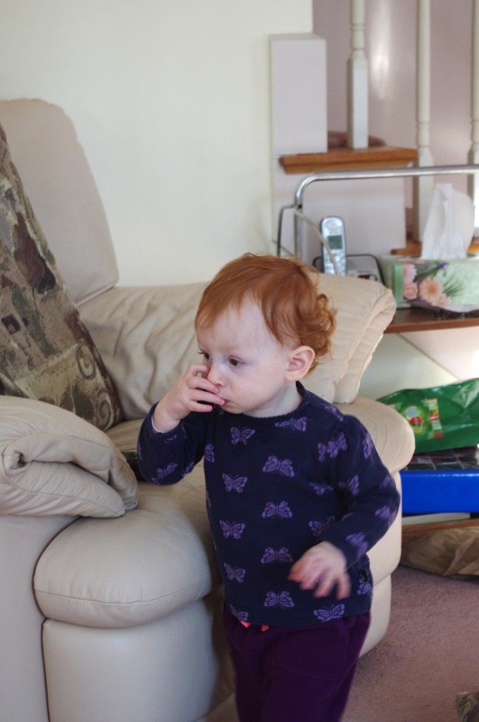 winter2014-Dover-IMGP5477