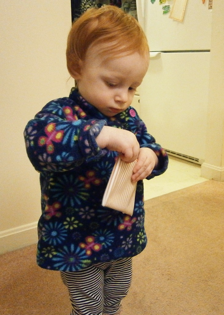 winter2014-Dover-PC270212