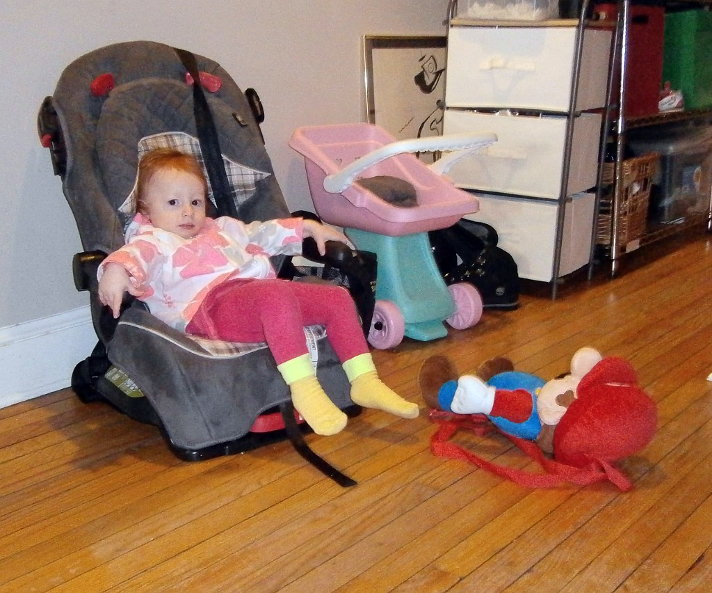 winter2014-DC-P2010335