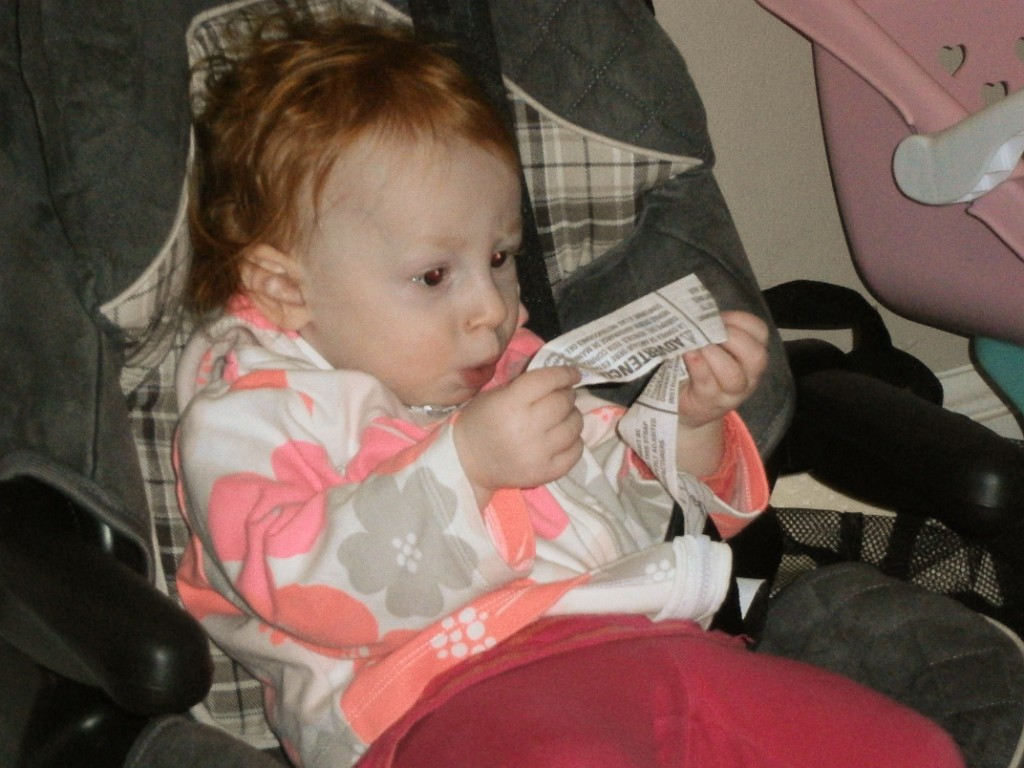 winter2014-DC-P2010339