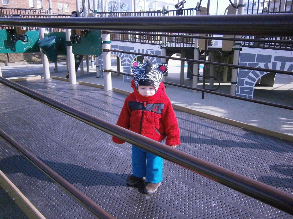 winter2014-DC-P2010358