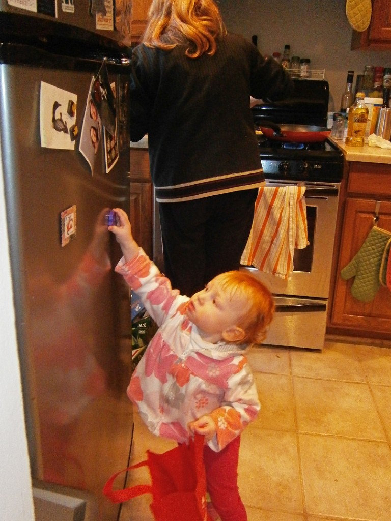 winter2014-DC-P2010373