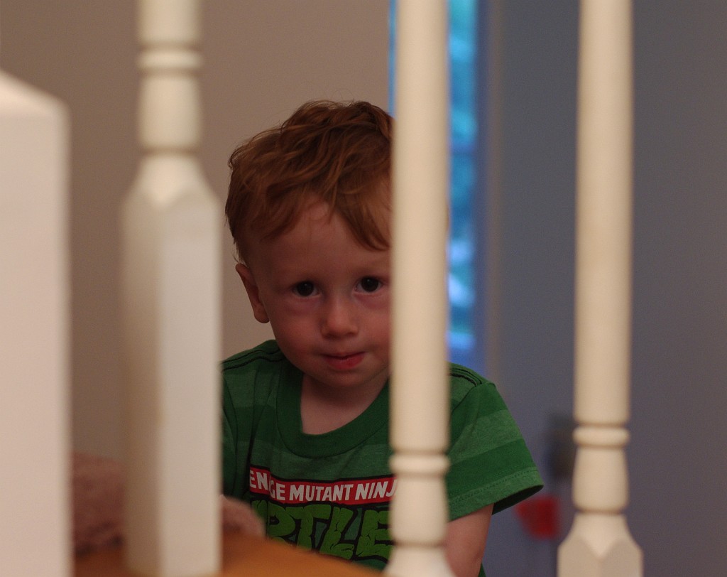 fall2015-NekoVisit-IMGP7213