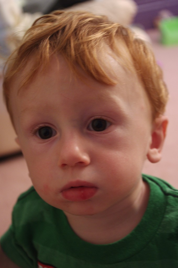 fall2015-NekoVisit-IMGP7216