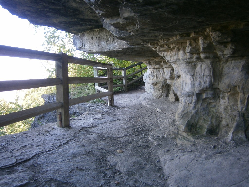 fall2015-Niskayuna-P9190875