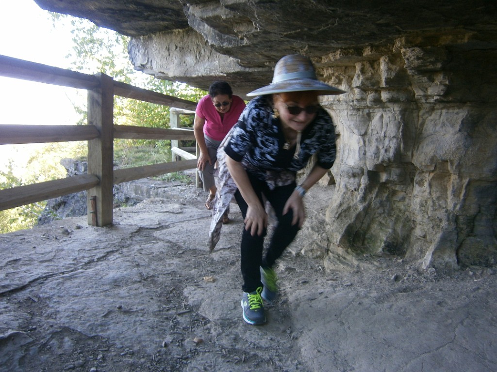 fall2015-Niskayuna-P9190876