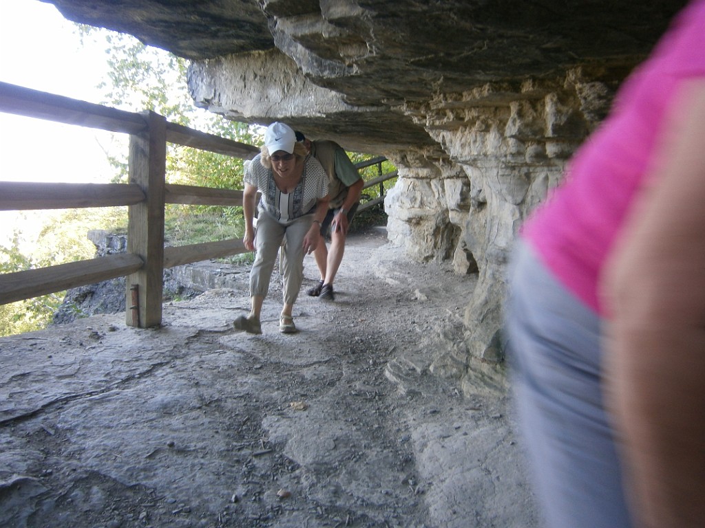 fall2015-Niskayuna-P9190877