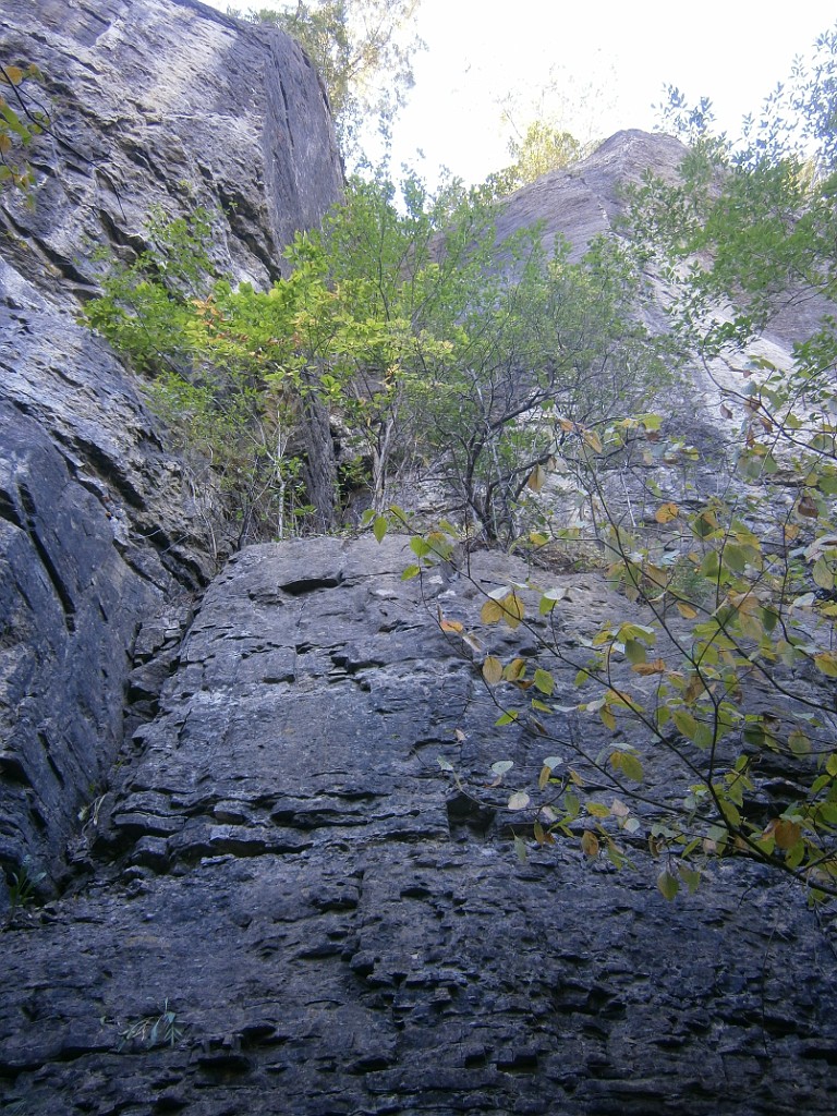 fall2015-Niskayuna-P9190878