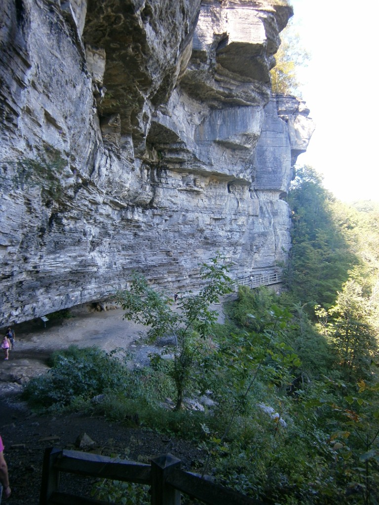 fall2015-Niskayuna-P9190879