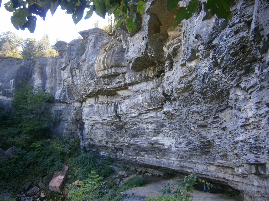 fall2015-Niskayuna-P9190881